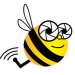 Bee Aerial Blog