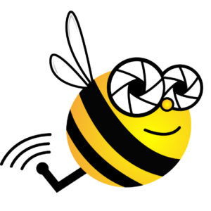 Bee Aerial Logo