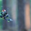 The revolution of FPV drones in the Cinematography world
